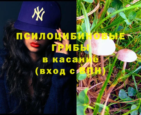прущие грибы Алексин