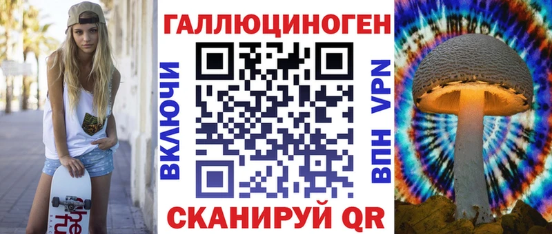 Галлюциногенные грибы Psilocybine cubensis закладка Хадыженск